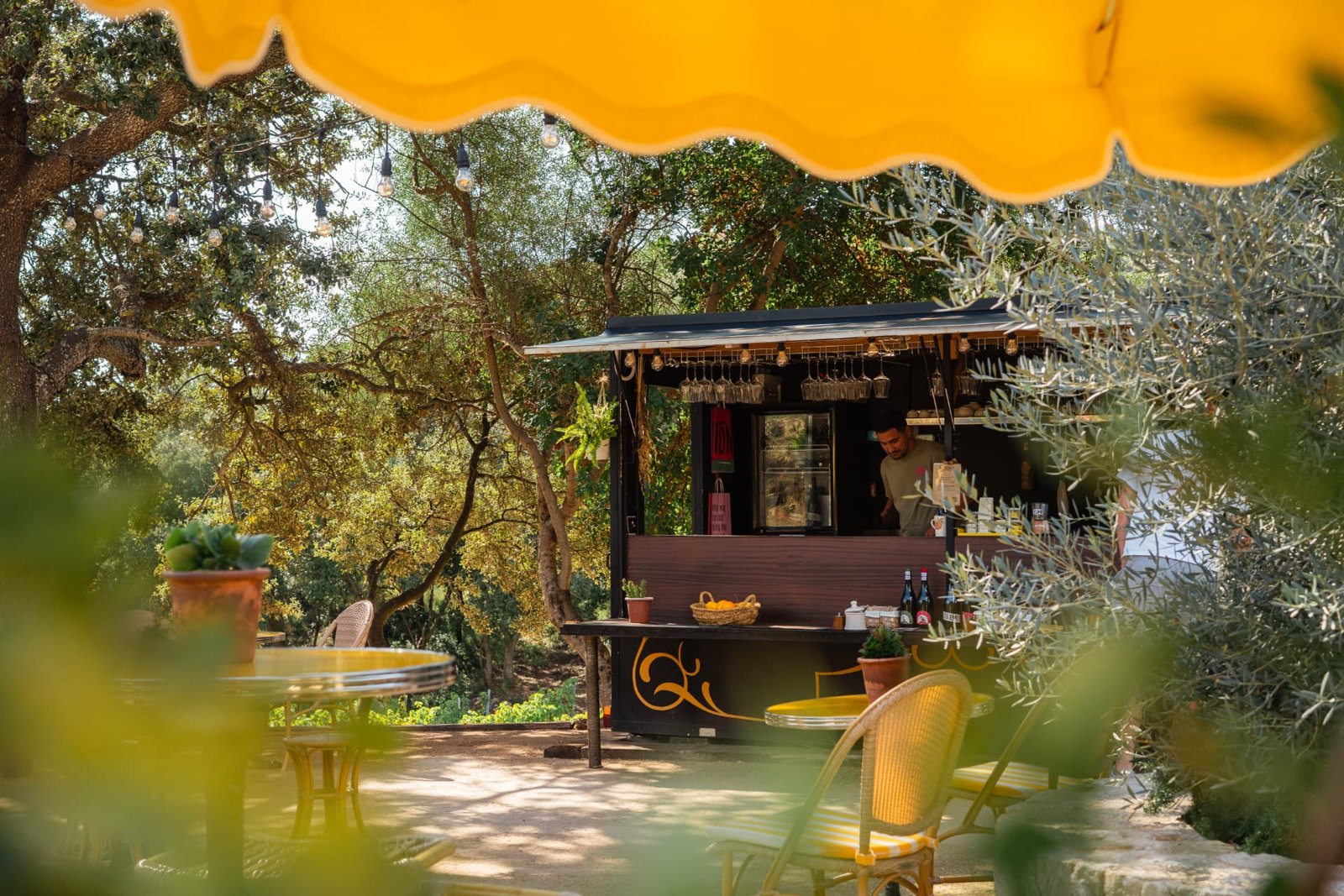 Wine Truck