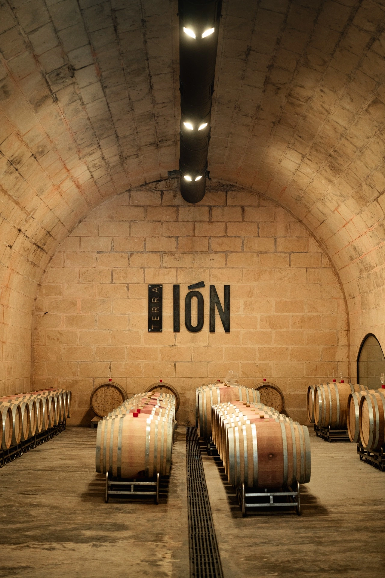 Wine barrels in cellar