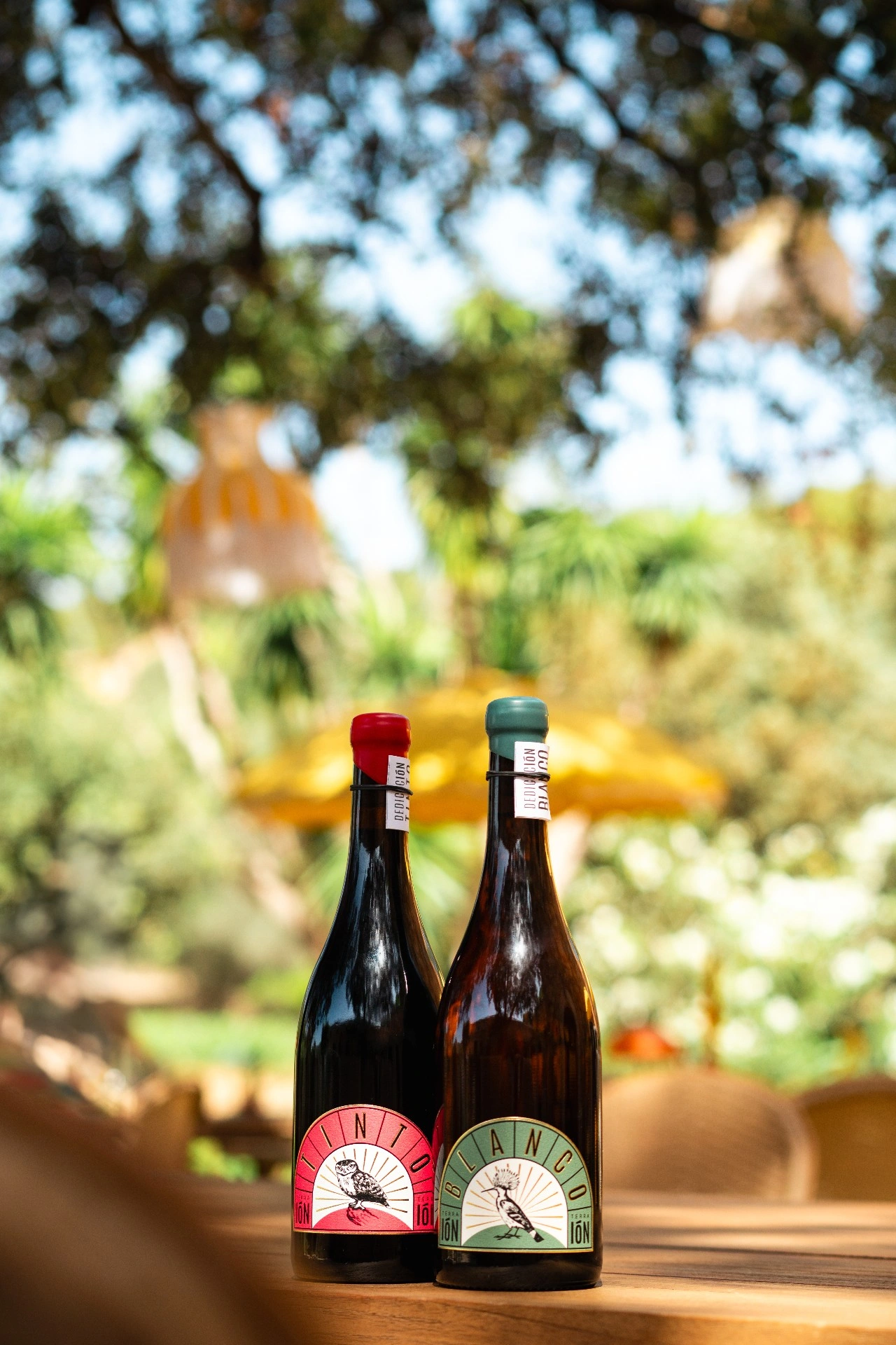 DedicacIóN Premium Wines - Artistic View