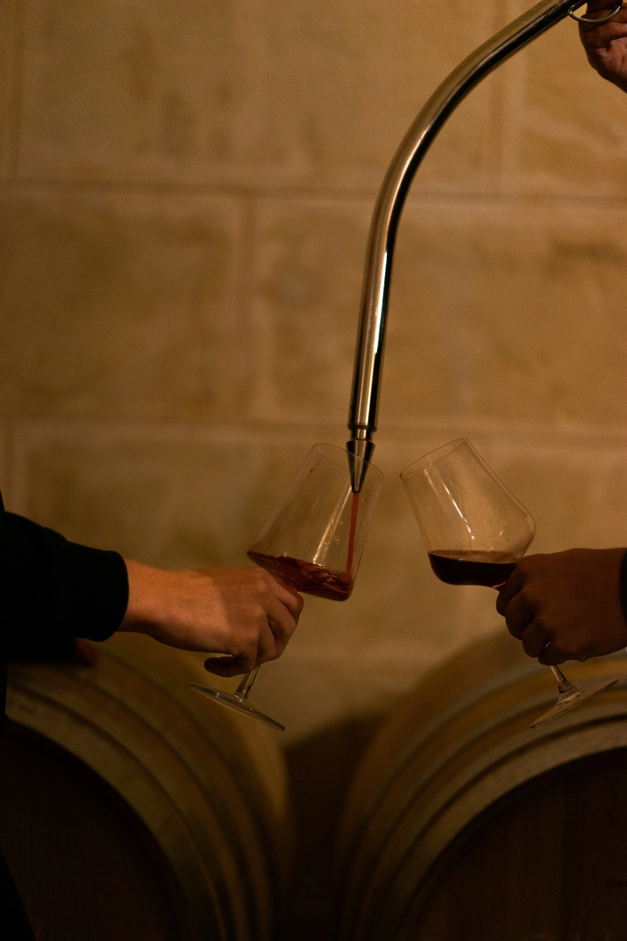 Wine glasses in the cellar