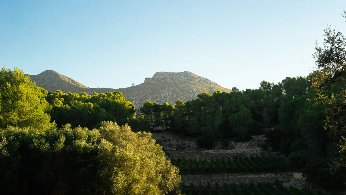 Mountains of the Sierra de Tramuntana