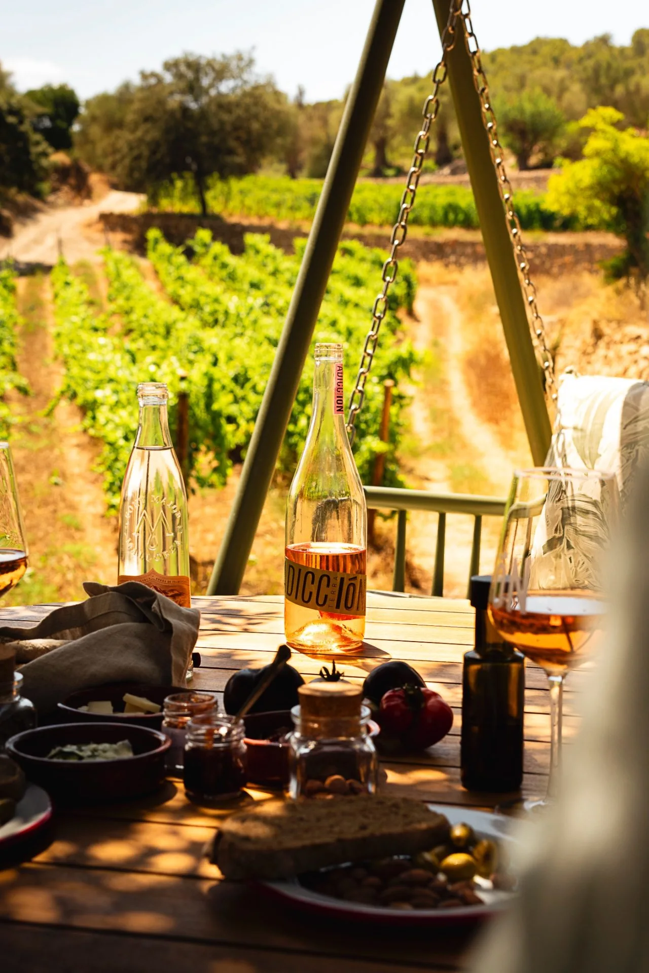 Picnic Experience