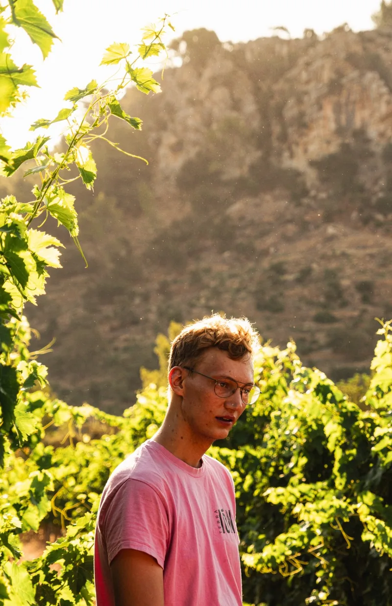 Domenic Amat Kreft, Winemaker
