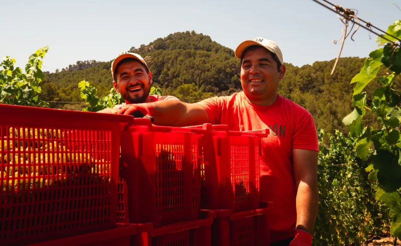 Fernando and Christian, TERRA IóN team