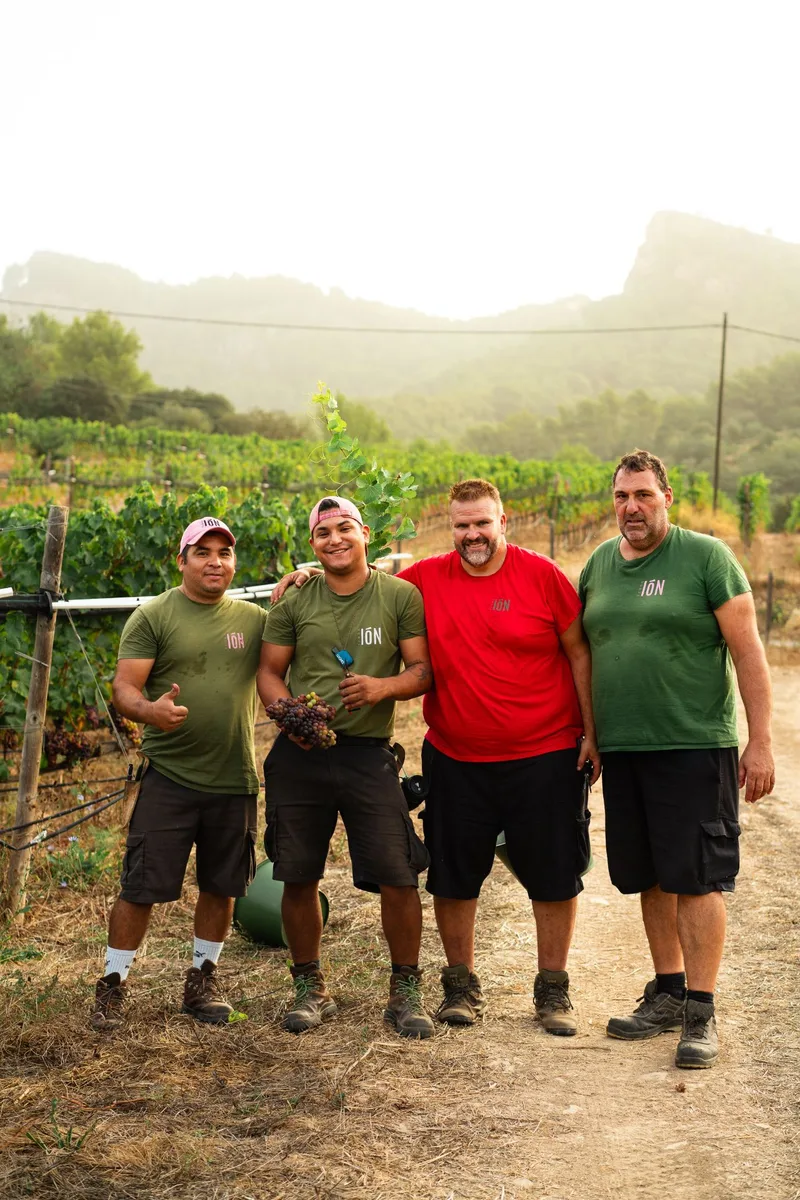 TERRA IóN harvest team group
