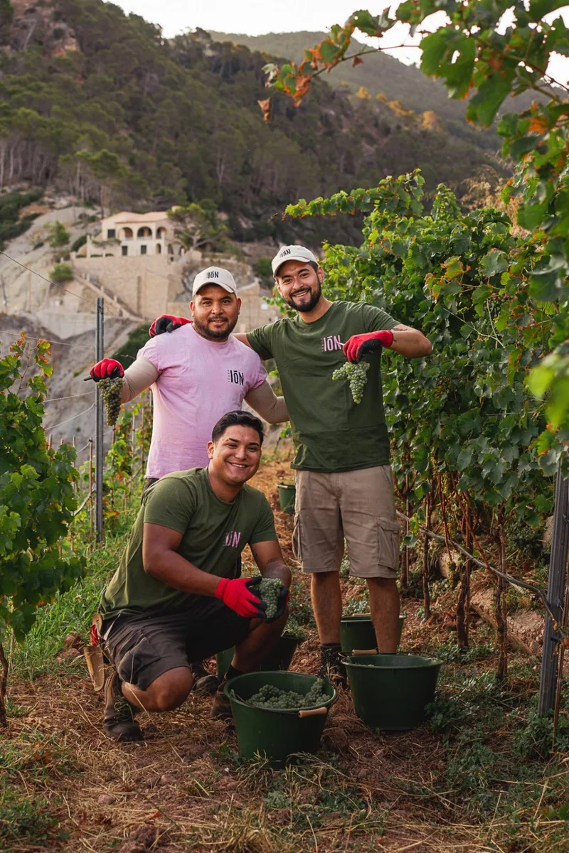 TERRA IóN harvest team trio