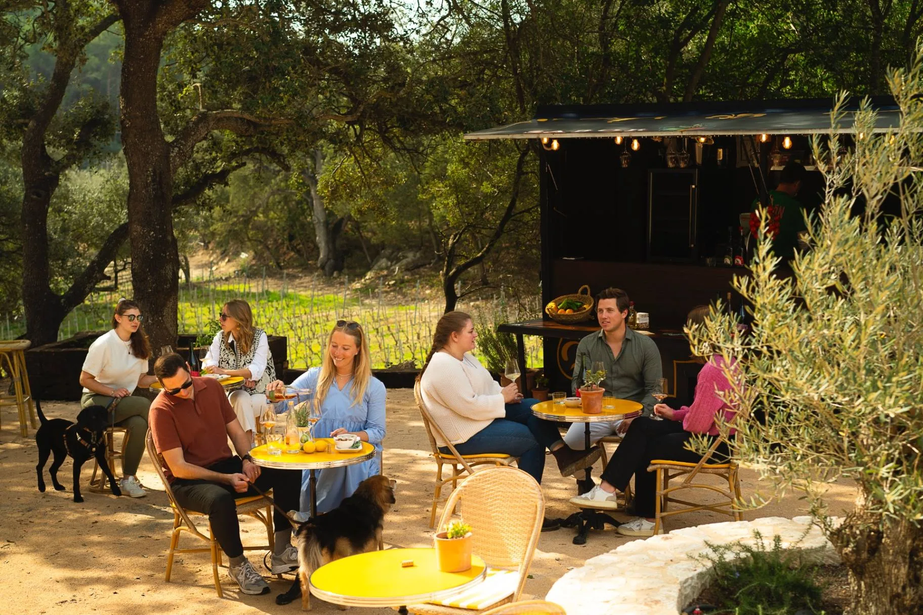 Wine Truck in Sierra de Tramuntana